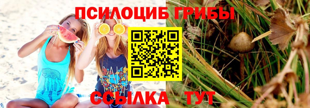 Беслан  Галлюциногенные грибы мицелий  Вход с VPN 